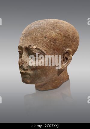 Ancient Egyptian statue shaved head of a priest, New Kingdom, 18th Dynasty, (1390-1353 BC). Egyptian Museum, Turin. Drovetti collection. Cat 3141. Gre Stock Photo