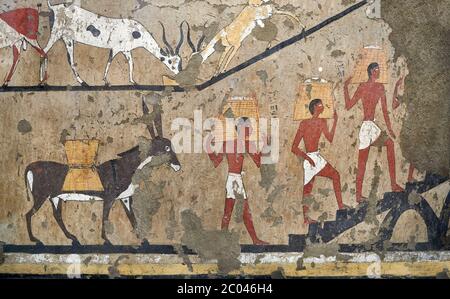 Wall paintings of the Tomb of Iti and Neferu, Ritual slaughter scene ...