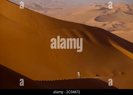 An office worker at a oil facility being developed in the Sahara desert, North Africa, walks  a high dune in the late afternoon. Stock Photo