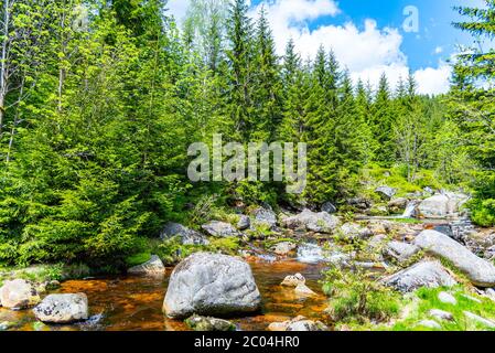 Jizera river full of granite rocks on sunny summer day, Jizera Mountains, Czech Republic.