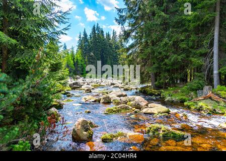 Jizera river full of granite rocks on sunny summer day, Jizera Mountains, Czech Republic. Stock Photo