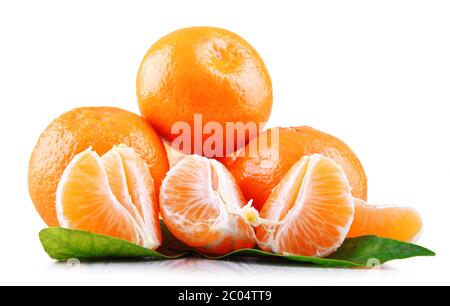 Composition with tangerines isolated on white background. Stock Photo