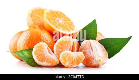 Composition with tangerines isolated on white background. Stock Photo