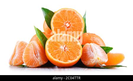 Composition with tangerines isolated on white background. Stock Photo