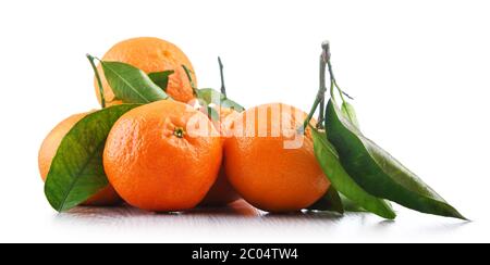 Composition with tangerines isolated on white background. Stock Photo