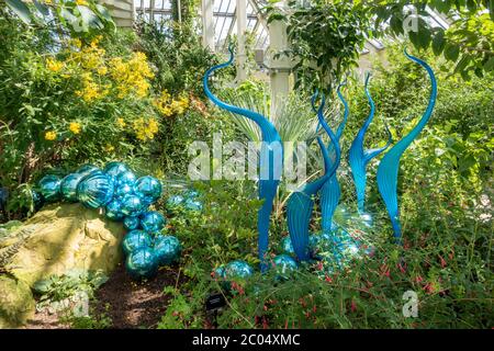 'Turquoise Marlins and Floats', a glass sculpture by Dale Chihuly, Royal Botanic Gardens, Kew, Richmond Upon Thames, England, UK. Stock Photo