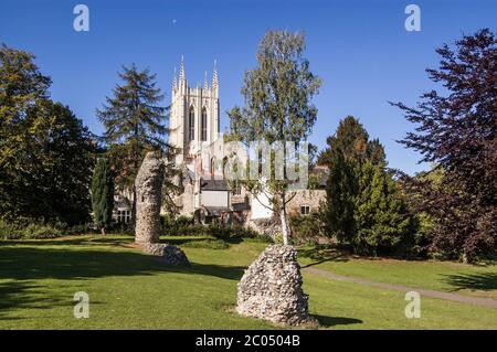 The Cathedral of Bury St Edmunds, viewed from the ruins of the town's medieval Abbey, Suffolk. Stock Photo