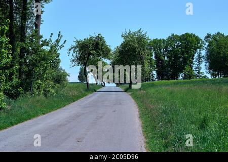 Find your way. Light grey asphalt road surrounded with trees, fresh green grass and blue sky. Spring landscape with an empty street in Germany. Stock Photo