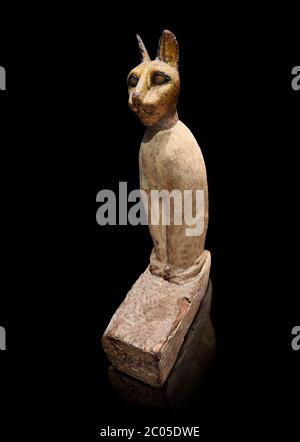 Ancient Egyptian Cat Sarcophagus conating cat mummy, Late to Plolomaic Period, (722-30 BC), Egyptian Museum, Turin.Old Fund Cat 2361. black background Stock Photo