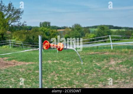 Close up photo of an orange fence handle. Electrical wire fence around a pasture for horses in Germany. Huge green field with trees and blue sky. Stock Photo