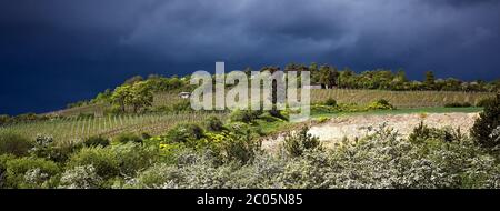 Last minutes before the rain. Dark blue thuderstorm clouds mixed with sunshine over the fresh green spring hills and beautiful blooming trees. Stock Photo