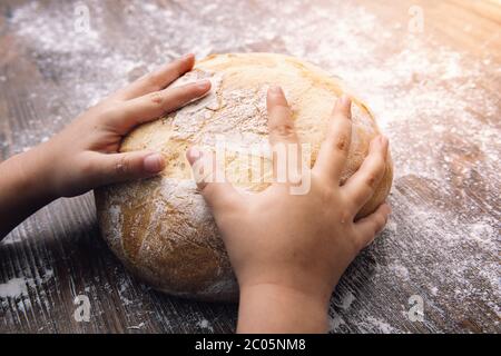 hands of a child touching a loaf of freshly baked rustic bread illuminated by the morning sun, concept of healthy food at home Stock Photo