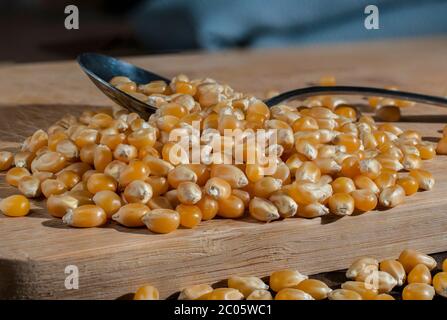Raw corn to make popcorn on a wooden table and on a spoon Stock Photo