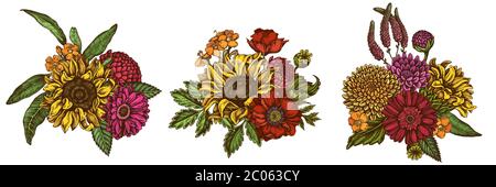Flower bouquet of colored poppy flower, gerbera, sunflower, milkweed, dahlia, veronica Stock Vector
