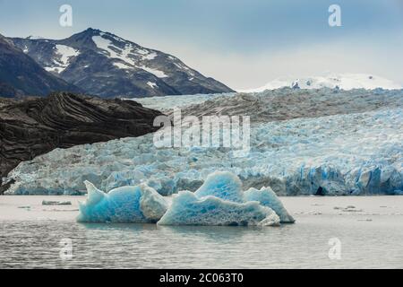 The Grey Glacier flows into Lake Grey, Torres del Paine National Park, Patagonia, Region de Magallanes y de la Antartica Chilena, Chile, South Stock Photo