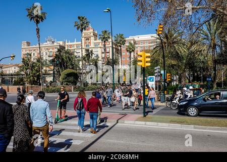 Pedestrians crossing zebra crossings, street scene in the old town, Malaga, Andalusia, Spain Stock Photo