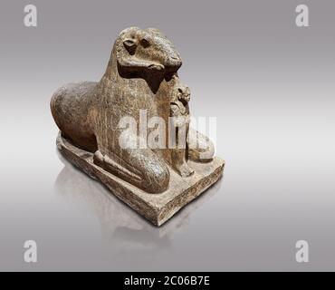 Ancient Egyptian statue of a Ram proytecting King Amenhotep III, granite, New Kingdom, early 18th Dynasty (1390-1353), Karnak, Temple of Mut. Egyptian Stock Photo