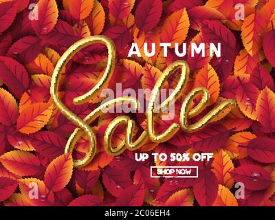 Autumn sale banner. Stock Vector