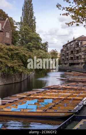 Cambridge, UK - September 19, 2011:  Punt rowing boats moored on the banks of the River Cam. Beside Magdalene College, Cambridge. Stock Photo