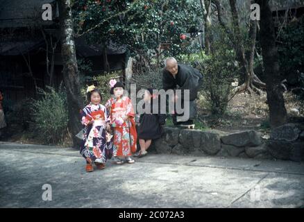 [ 1940s Japan - Shichi-Go-San ] — Three young girls and an elderly man, April 1949 (Showa 24).  Two of the girls are all dressed up in kimono and beautiful hair decorations, so they are likely celebrating Shichi-Go-San (七五三), a traditional rite of passage for three and seven year old girls and five year old boys.  20th century vintage slide film. Stock Photo