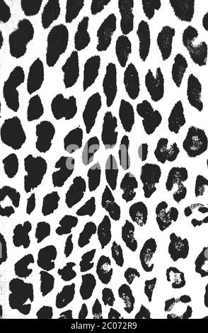 Distressed overlay texture of natural leopard fur, grunge vector background. abstract halftone vector illustration Stock Vector