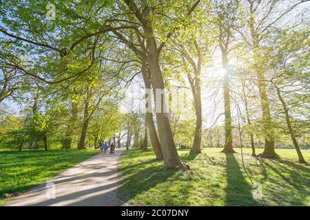 People strolling down a foot path in a beautiful park on a sunny spring day Stock Photo