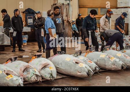 Morning auction of luxurious large frozen tuna fish at the Tsukiji market in Tokyo Japan Stock Photo