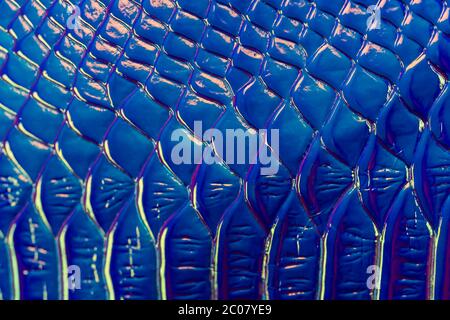 Blue stylish sketch seamless pattern with glitter skin crocodile abstract for textile design. Seamless pattern. Surface design. Luxury style. Stock Photo