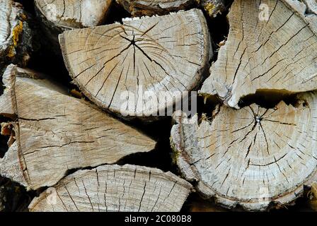 close up of a pile of firewood Stock Photo