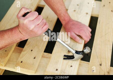 Carpenter using a claw hammer Stock Photo