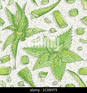 Seamless pattern with hand drawn Aloe vera lives and flower in green and red color isolated on gray terrazzo background. Retro vintage engraving Stock Vector