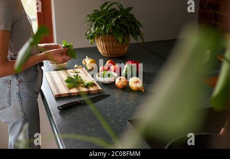 Anonymous female following online recipe preparing dinner using laptop. Stock Photo