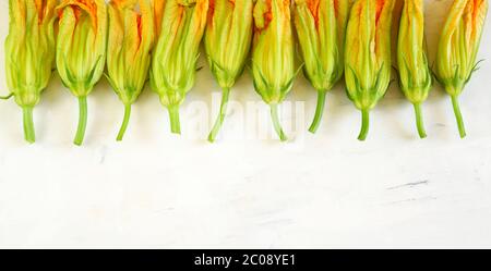 Zucchini flowers isolated on white background. Top view. Organic food. Stock Photo