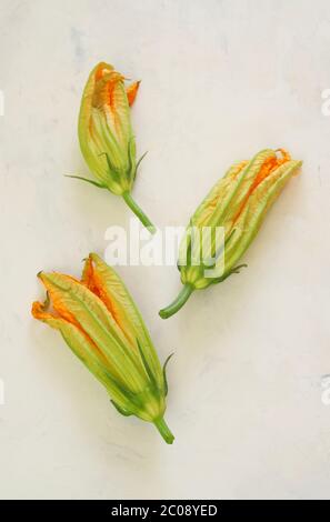 Zucchini flowers isolated on white background. Top view. Organic food. Stock Photo