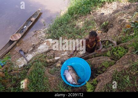 Veronique Omba secures the day’s catch of “ngolo,” or snake catfish, from the Congo River in Kisangani, Democratic Republic of Congo. For the last 14 years, Omba has woken up every day at 5 a.m. to catch fish, which she sells to provide for her family. (Francoise Mbuyi, GPJ Democratic Republic of the Congo) Stock Photo