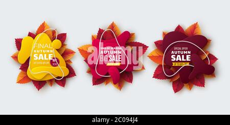 Autumn sale banners with leaves. Stock Vector