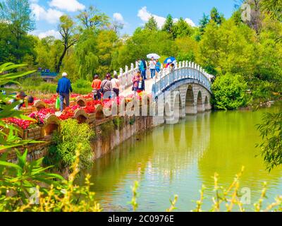 Suocui Bridge over Black Dragon Pool in Jade Spring Park, Lijiang, China. Stock Photo