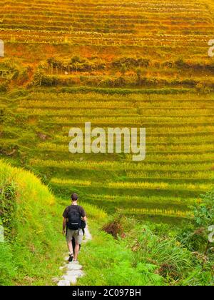 Tourist on Dragon's Backbone Rice Terraces, Longsheng, Guangxi, China Stock Photo