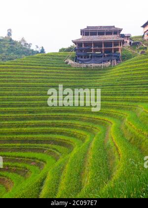 Wooden house on Dragon's Backbone Rice Terraces, Longsheng, Guangxi, China Stock Photo