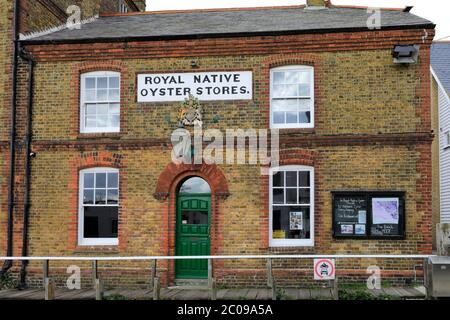 The Royal Native Oyster Stores shop, Whitstable Harbour, Whitstable town, Kent County; England; UK Stock Photo