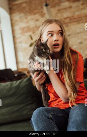 surprised girl looking away and holding in arms cat Stock Photo