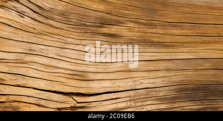 Old brown wood texture, detailed view, background Stock Photo