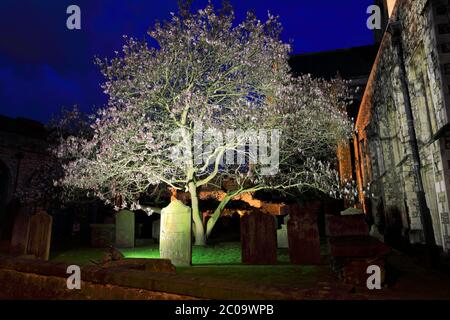 Evening view over of Rochester Cathedral, Rochester City, Kent County, England, UK Stock Photo