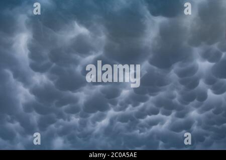 Menacing mammatus clouds before the storm, stormy sky, climate change and unpredictable terrifying mother nature Stock Photo
