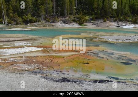 Late Spring in Yellowstone National Park: Crackling Lake in the Porcelain Basin Area of Norris Geyser Basin Stock Photo