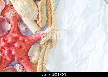 sea shells on blue background Stock Photo