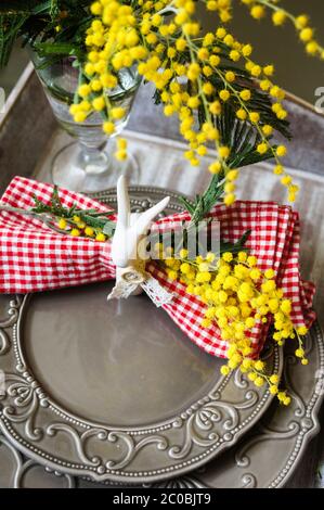 spring time, yellow mimosa flowers Stock Photo