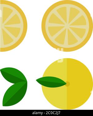 Lemon and its pieces vector flat isolated Stock Vector
