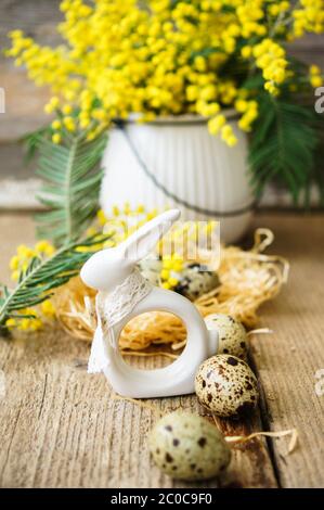 spring time, yellow mimosa flowers Stock Photo