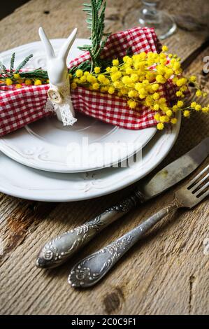 spring time, yellow mimosa flowers Stock Photo